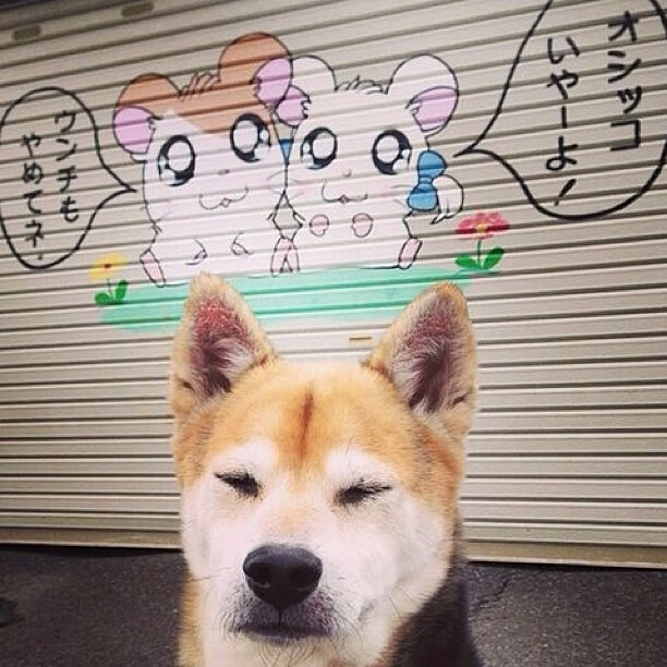 利物浦2-0击败曼城，萨拉赫和菲尔米诺攻城掠地，利物浦球队萨拉赫