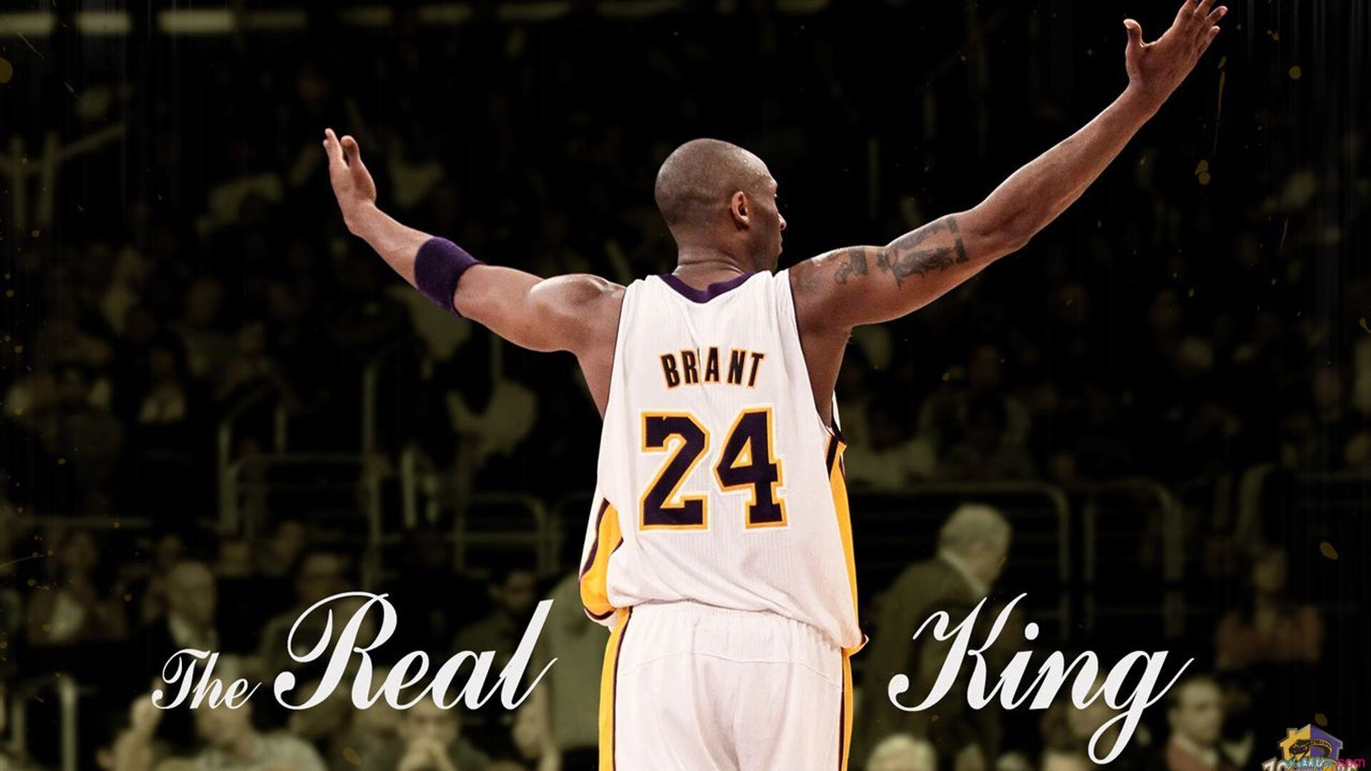 “马丁·高尔西在美洲狮队中的重要作用与未来发展”