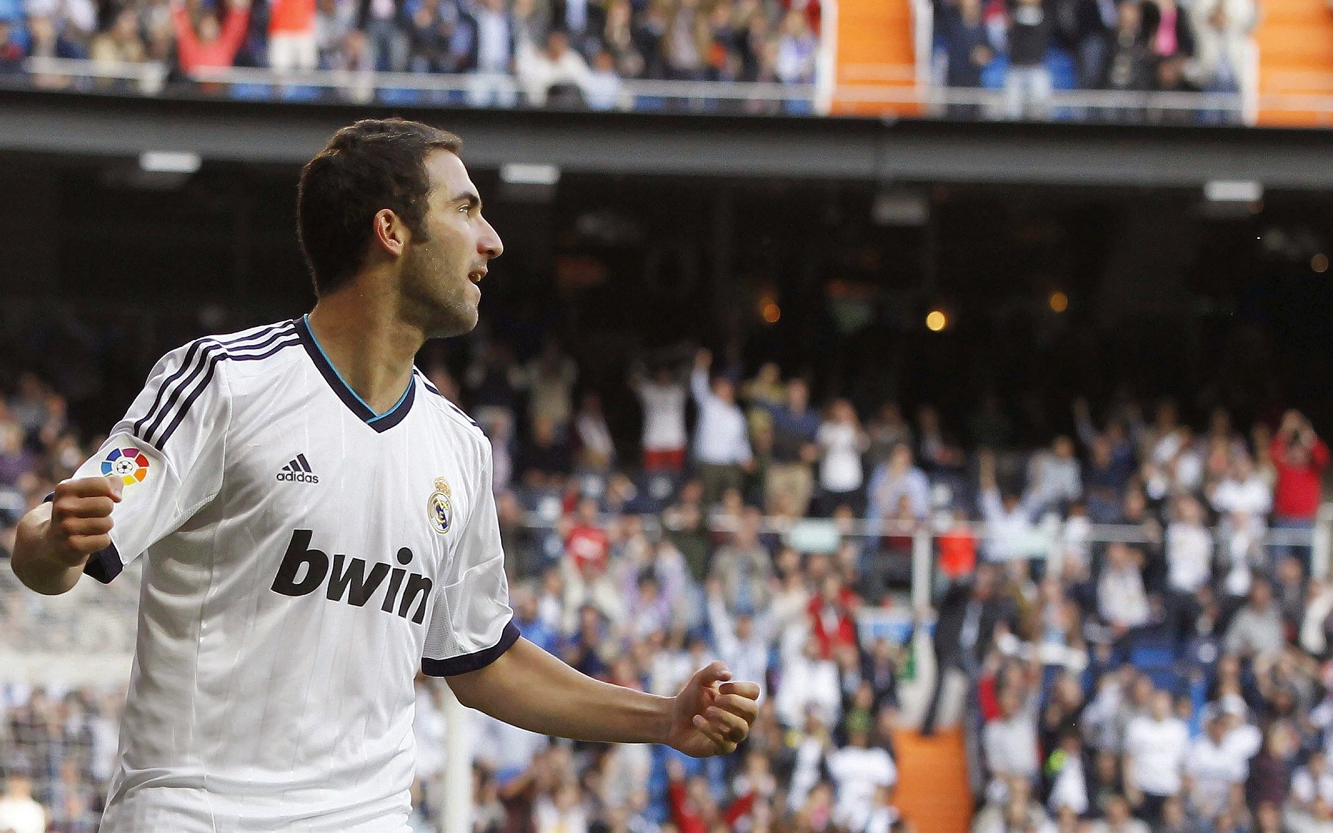 爱尔兰男队深得球迷喜爱,备战世界大赛,爱尔兰男篮水平