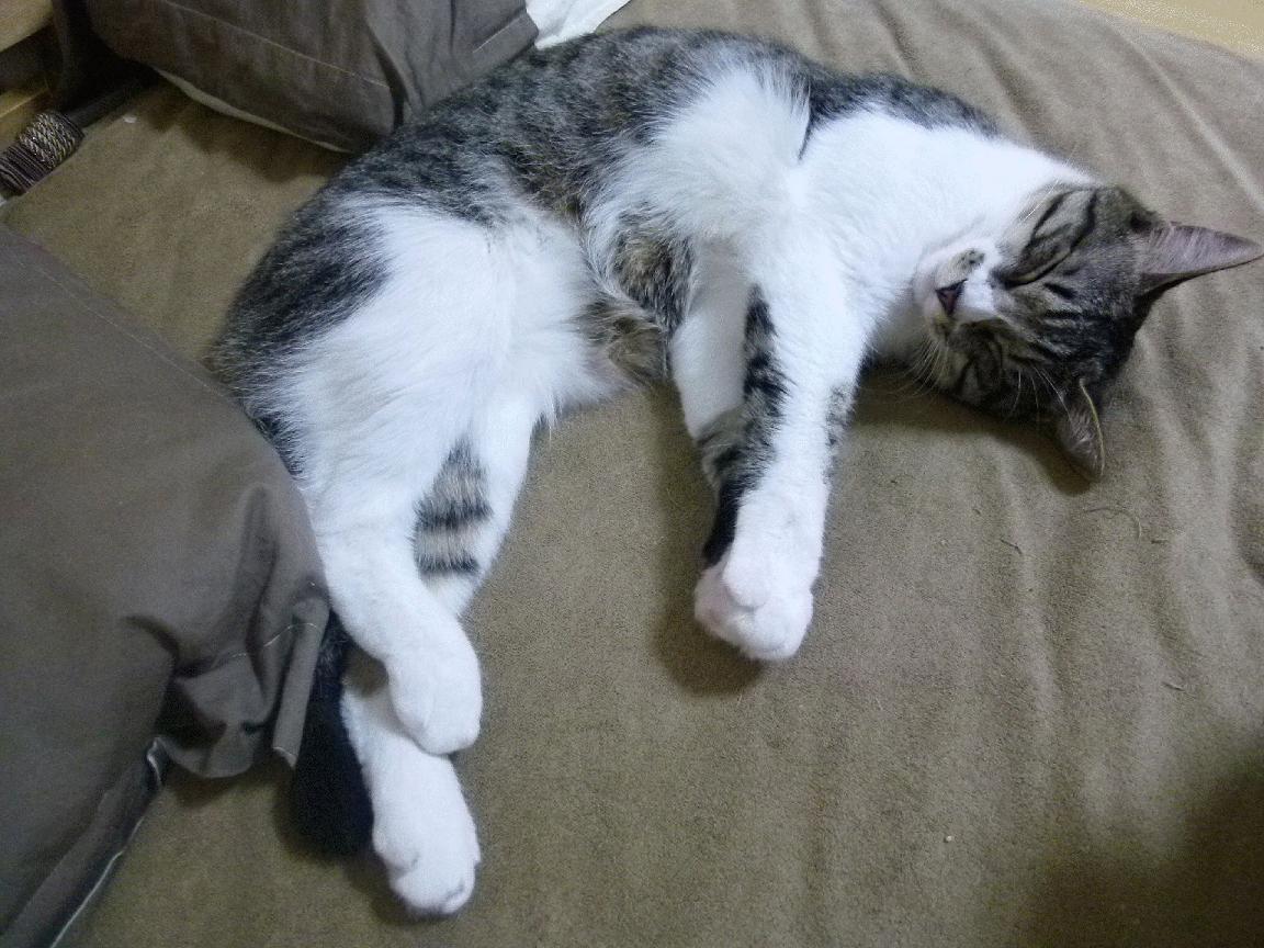 开云中国大陆-_最美瞬间：秀场中的花样发球与高难度得分_，花式发球